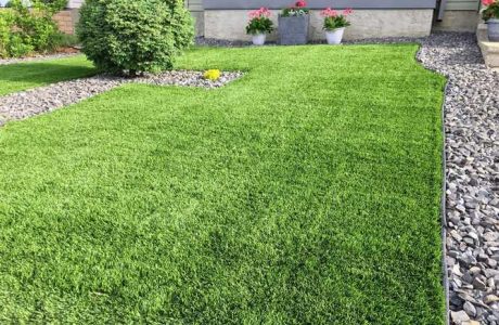 Artificial Turf Looks Good on Your Colorado Lawn