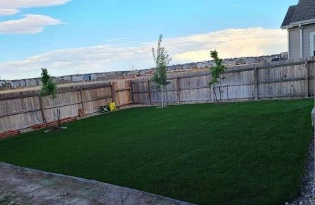 How to Select the Best Artificial Grass
