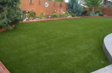 Winterizing Your Lawn; Artificial Grass vs Natural Grass