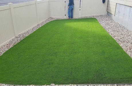 How To Clean Pet & Dog Urine From Artificial Grass?